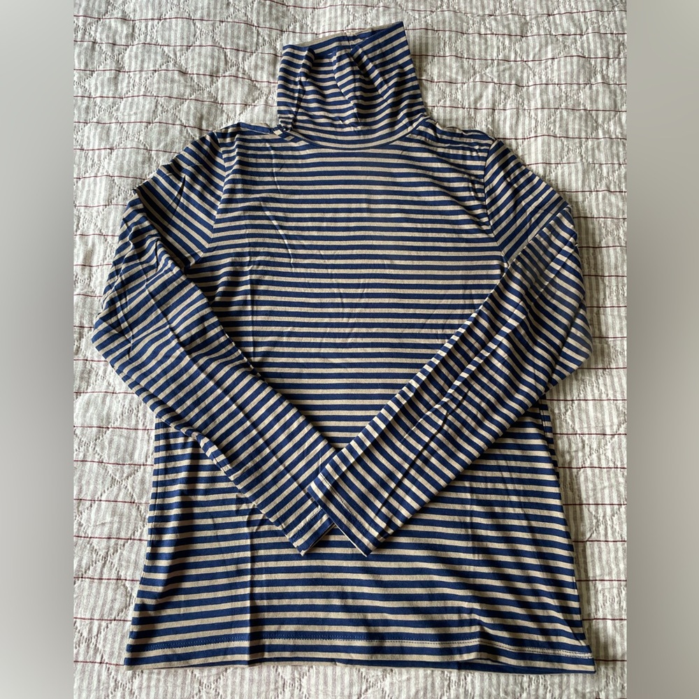 J. Crew Blue and Cream Striped Turtleneck Sweater